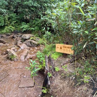 時間が有り余っているので寄り道します。