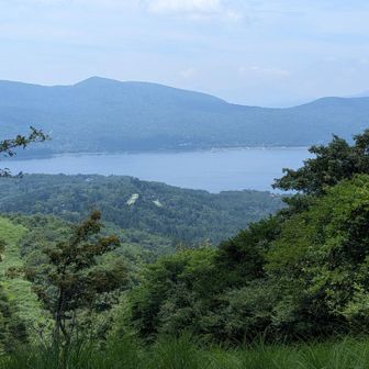 ④イモ山山頂みたいです。
山頂からの景色😍
山頂標識無しなのか見つけられませんでした💦