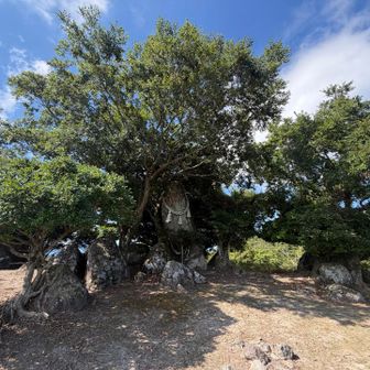 典型的な巨石信仰の霊場で有りますな〜
ストーンサークルと言う雰囲気ではありませんけど自然石を配して古の祈りの場所なんでありましょう。
