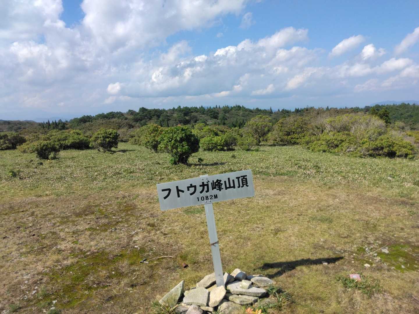 フトウガ峰着