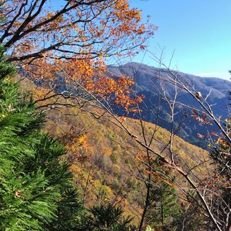 左門岳 隣の尾根もきれいです。