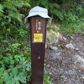 笠新道出口