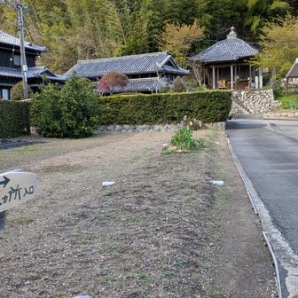 逆うちなので、ここに降りてきました