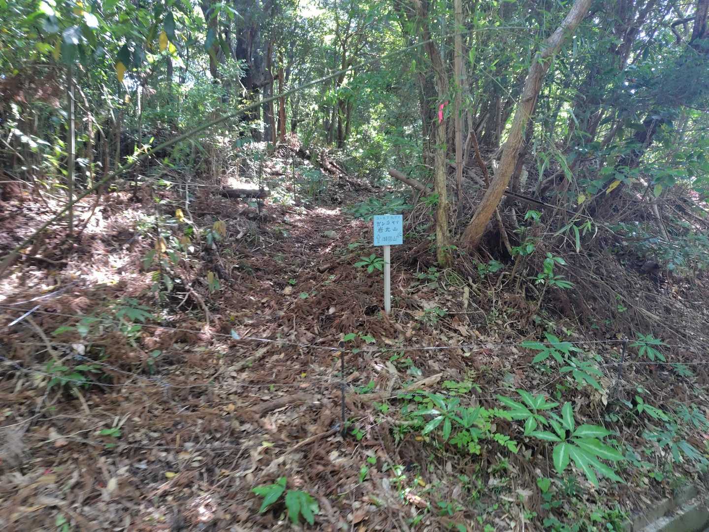 二ツ山 往復コースの写真