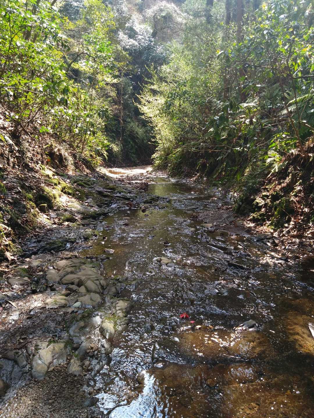 川沿い歩き気持ちいい