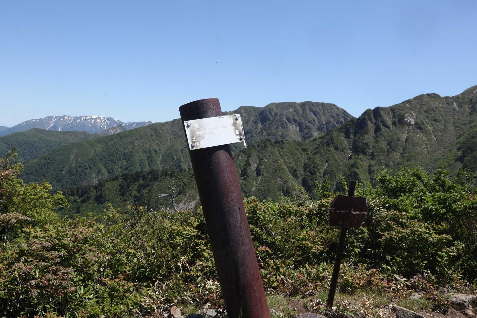 矢場の頭