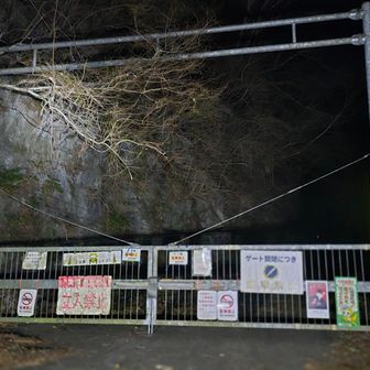 ゲート超えてスタート