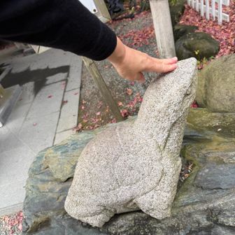 亀若丸なでなで🐢
健康長寿を願って！