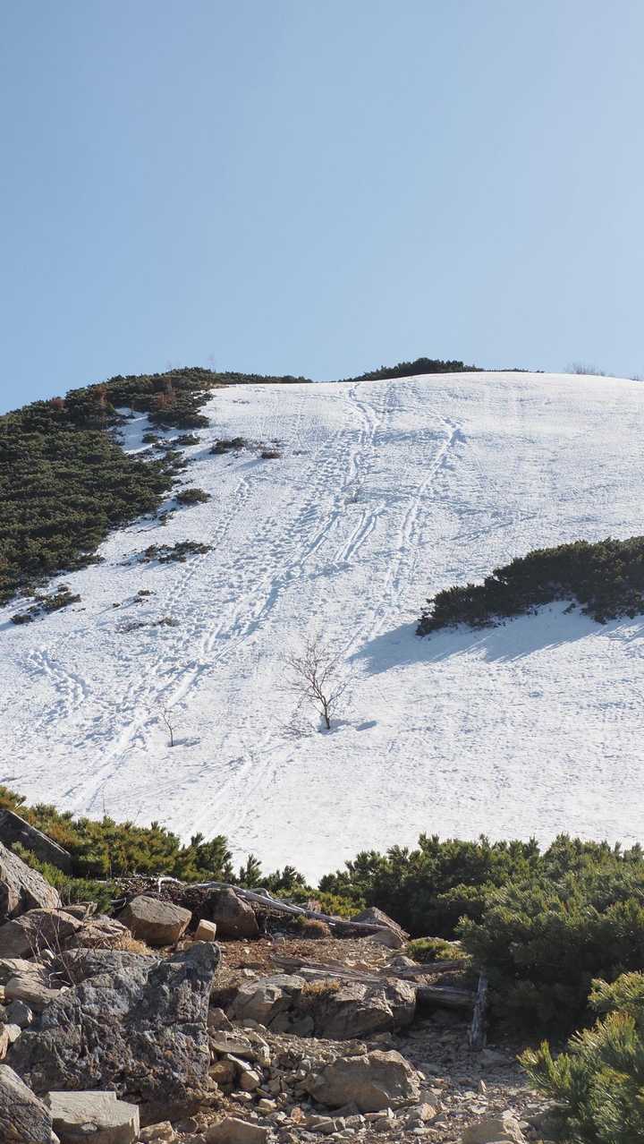 仙丈ヶ岳、残雪期テン泊 の写真 32