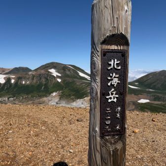 楽しすぎて気がついたら北海岳😆

え？コースタイムを最近絶大に信頼してたYAMAPだったけど２時間半もズレてる⏰

この様子なら黒岳まで行っても良い。
はたまた中岳温泉からの下山でも良い。

しばらく最善の行動を考えた結果・・・