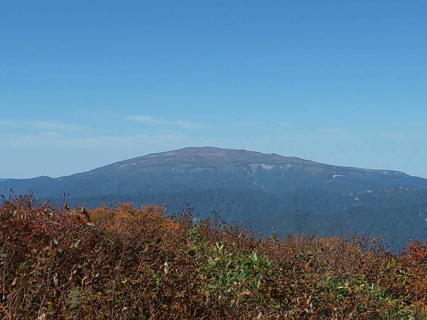 やっぱ月山がいい👍✨😁