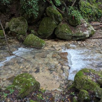 途中、天鳥川を渡渉！
水が多すぎ！
普段は難なく渡れるが…