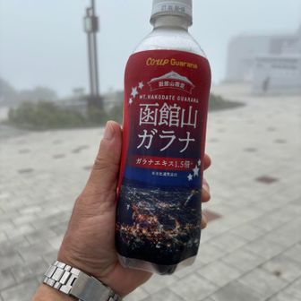 函館山限定に惹かれ、ガラナジュースを購入