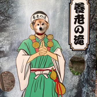 修行中
