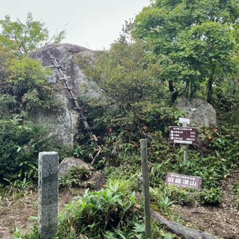 旧羅漢山山頂⛰️
思ったより狭いところでした。
ここでこのシルバーウィークに広島・島根→山口→鳥取→岡山の最高峰を回られるYamapperさんにお会いし、色々お話し聞かせていただきました。
