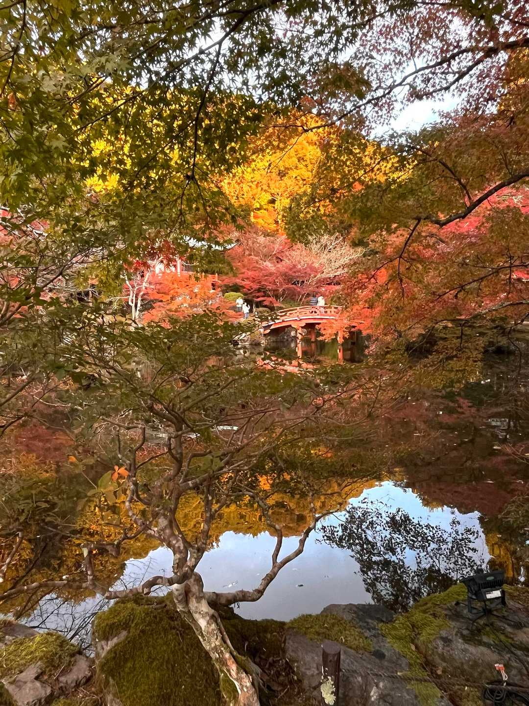 横嶺峠-高塚山 周回コースの写真