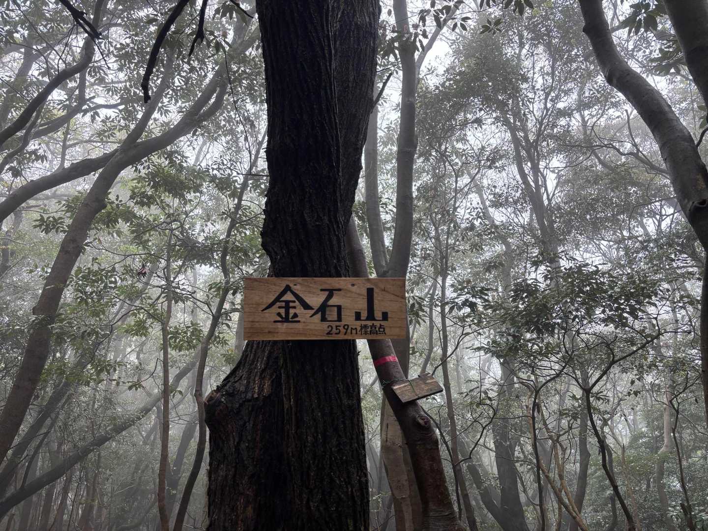 金石山
ココは去年なんちゃんと登頂して以来！