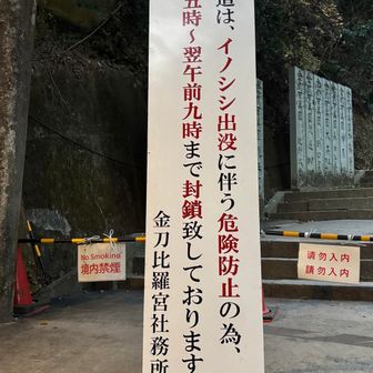 別に 鍵🔑が してあるわけでは ないのですが、 封鎖してあります。⚠️17:00〜9:00 封鎖⚠️

猪🐗🐗さーん💦 