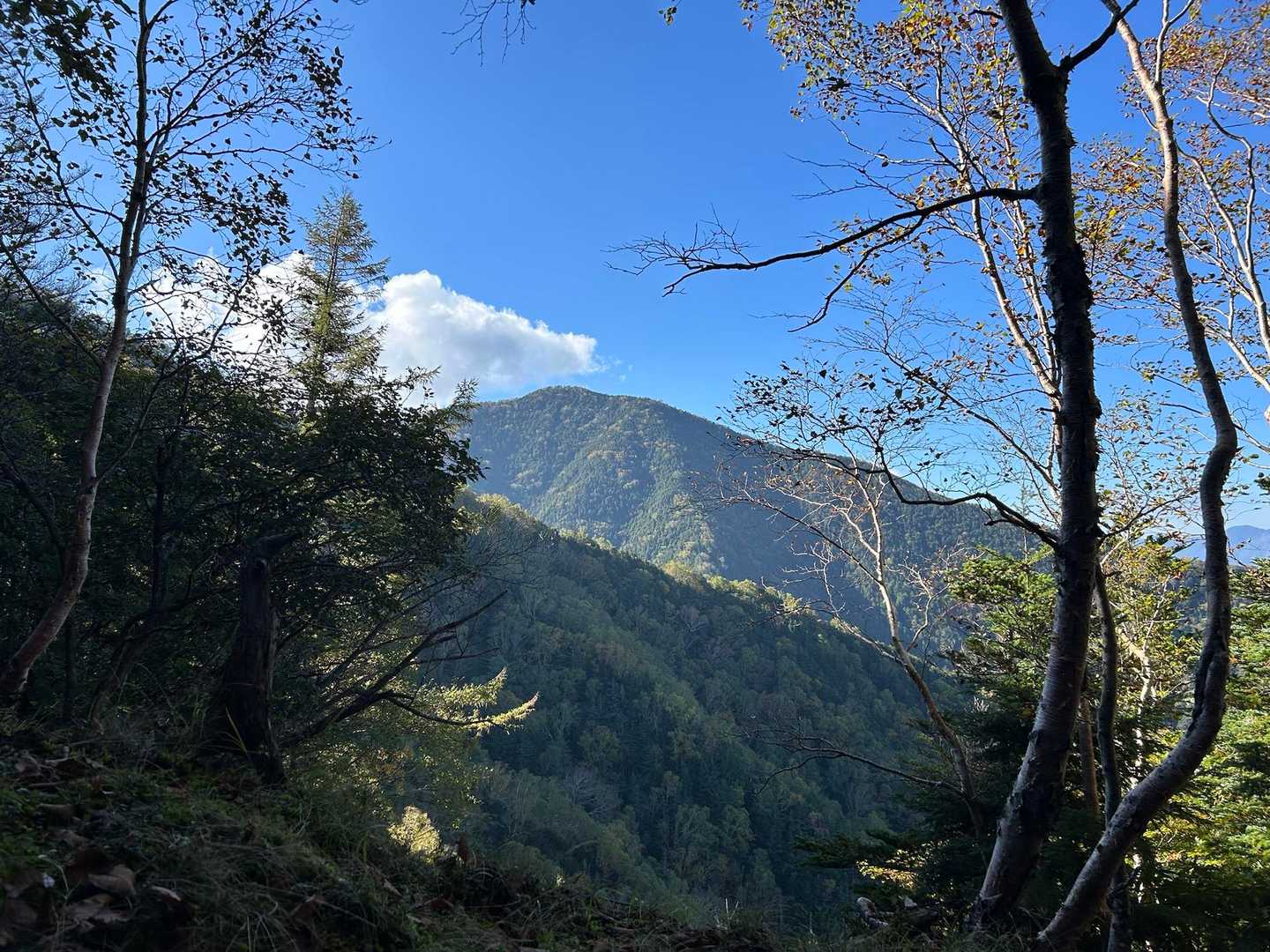 ここでやっと景色✨
