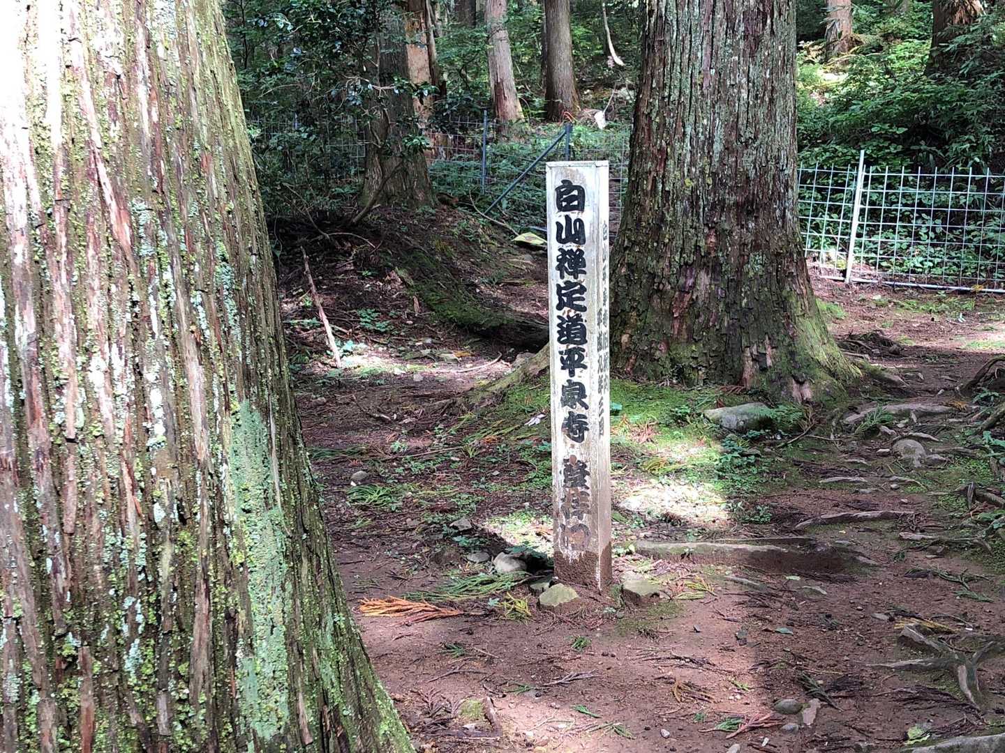 越前禅定の起点