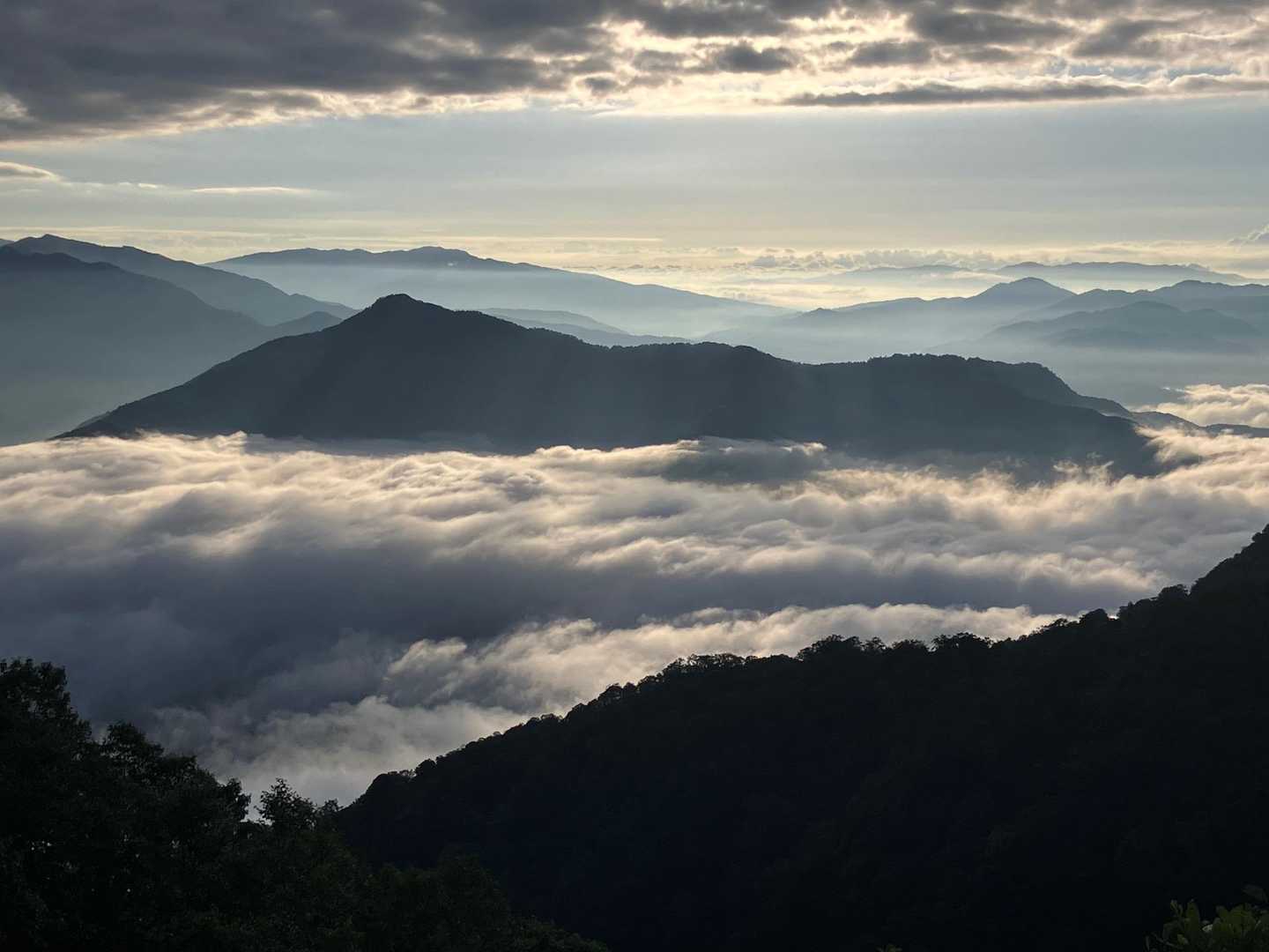 勝原コース | 旧スキー場を抜け、巨ブナの森、鎖場を越えて立つ「大野富士」の写真