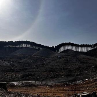 日本の林業　がんばれ〜
まじでそう思う