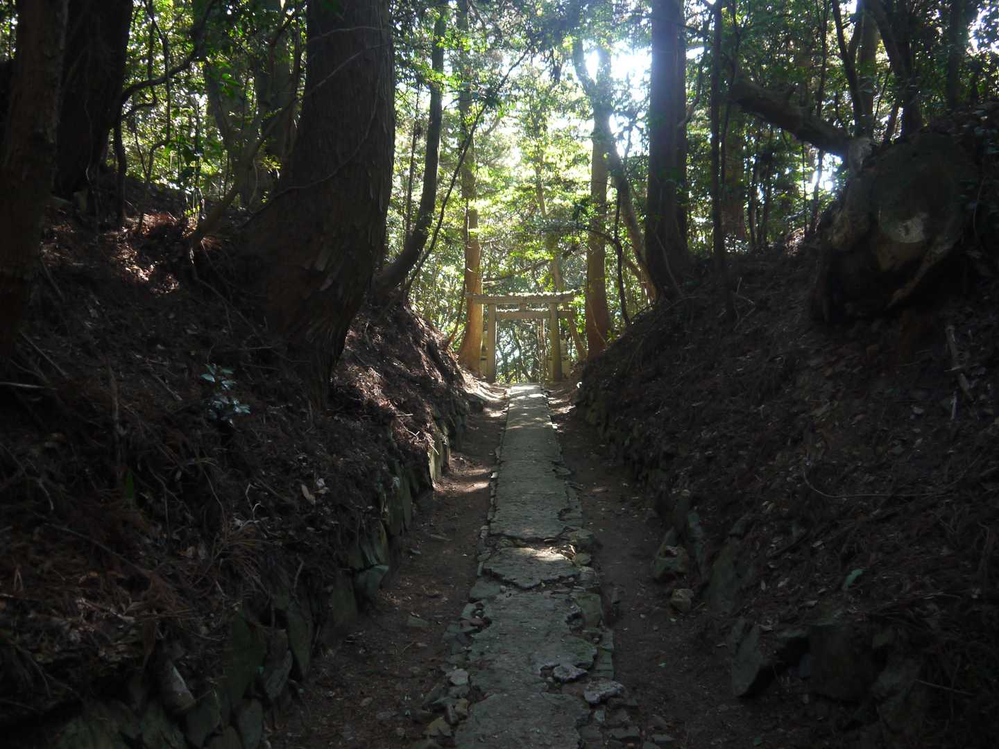 参道も良い感じ。