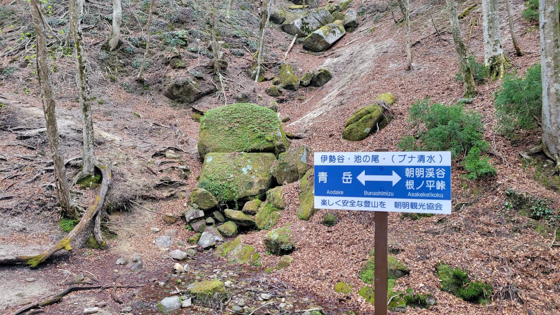 ブナ清水に到着