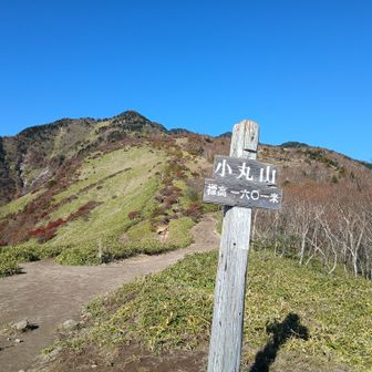 小丸山についた　奥に赤薙山