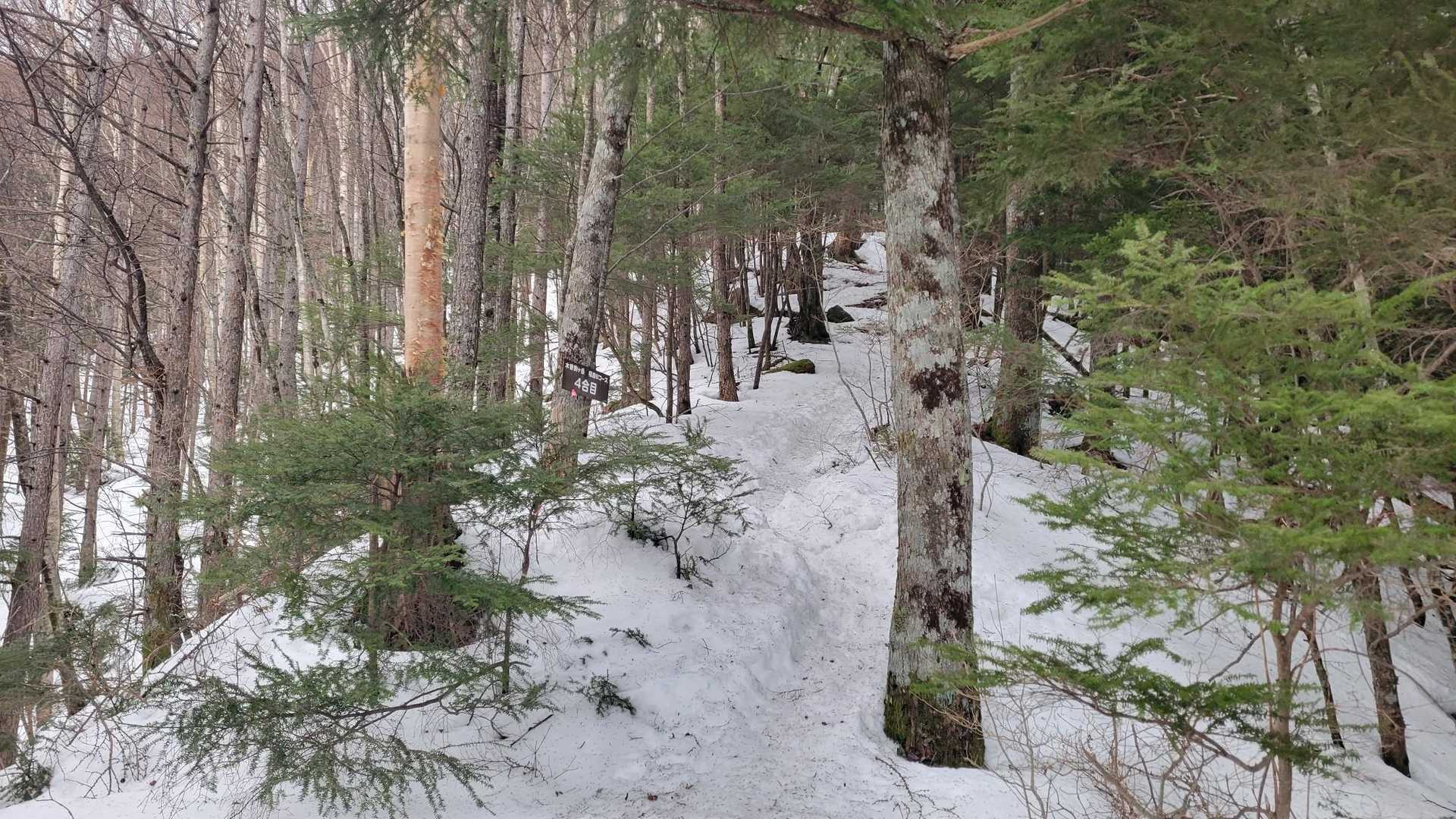 4だってさー

ずっとゆるい雪質やった。
歩きづらい。