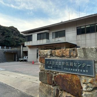 休館日だと分かっていても行ってみる　笑