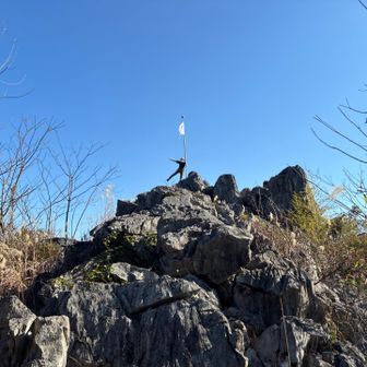 タロポーズ🤭

😼タカ501座になっちゃたよ？
🐼そんなの知ってるさ‼️

500座など興味無いのさ😎
遥かなる高みへ

チャッキー例の奴頼んだで🐼