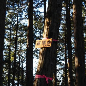 ちょいと足伸ばして南郷山ピークハント。