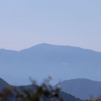 部子山
