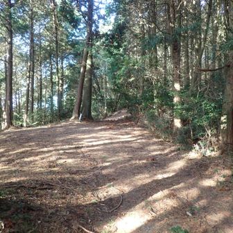 ここまで車両で来れそう