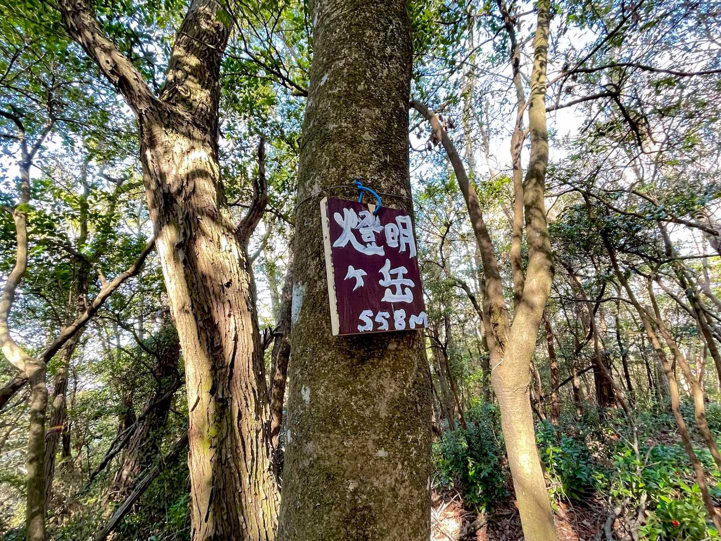 登頂！ピストンで下山です