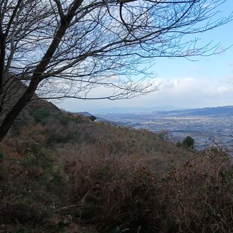 和歌山の街と淡路まで見渡せました