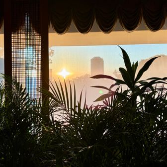 すっかり夕方。早稲田方面。学生時代に、早稲田から坂を上がり、たまにこちらまでお散歩に来てました🚶‍♀️懐かしい