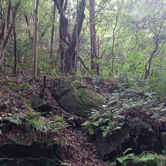 おかめ岩