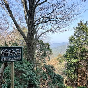 この後、🐿️に出会う🥰

経ケ峰にリスおるんや〜〜〜😳😃
と独り言いいながら進んでましたw
