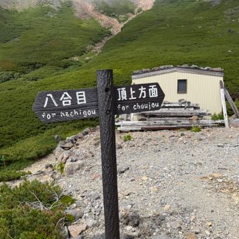 三の池はガスってたのでスルーして稜線に復帰しますが、こよ標識の英語表記Choujouって😂