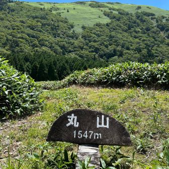 まさに丸山って感じ○