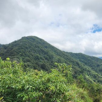 火燈山