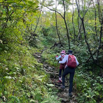緩い登りが続きます
足元は石ゴロゴロで少し歩きにくい