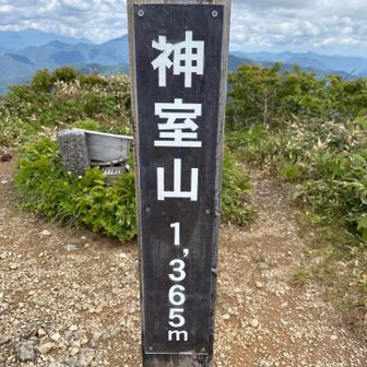 頂上　来たょ