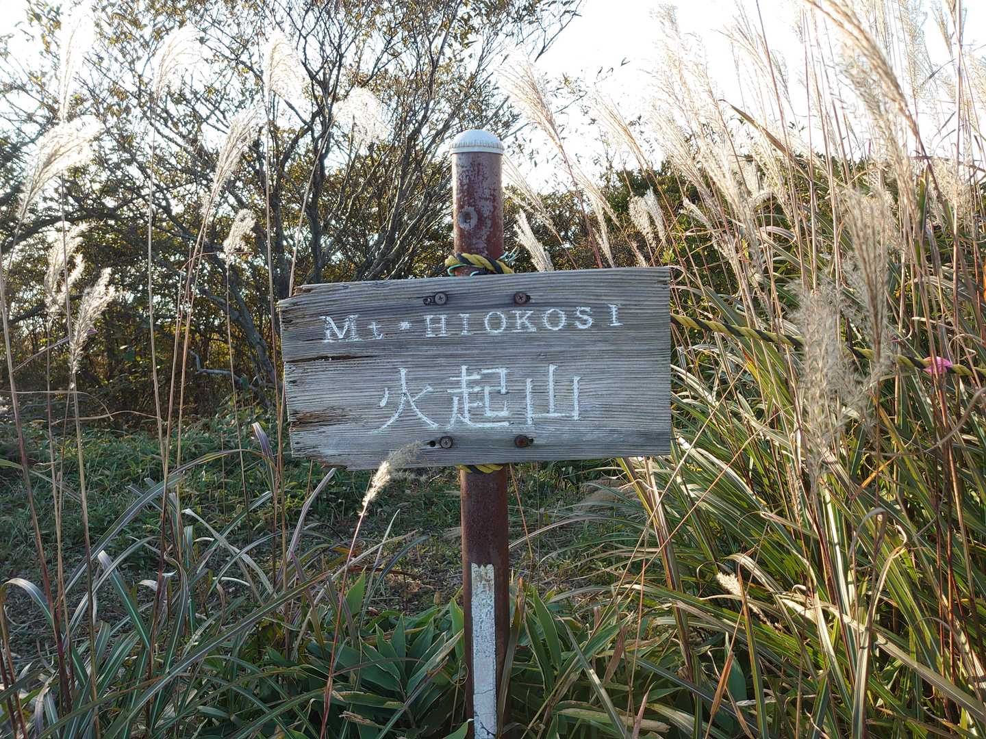 火起山。