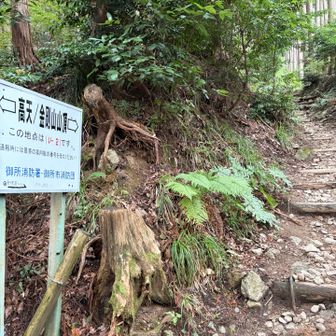 人が少ないから登りやすい🚶