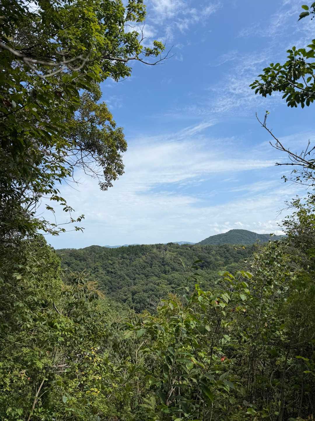 遣水観音山 周回コースの写真