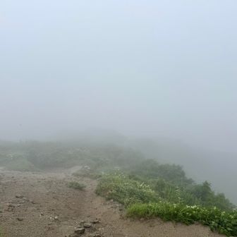 雲の中で真っ白、先が見えない。