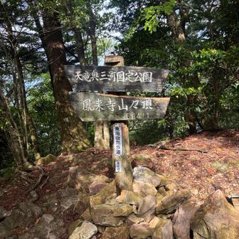 樹林帯の中景観は望めず😊